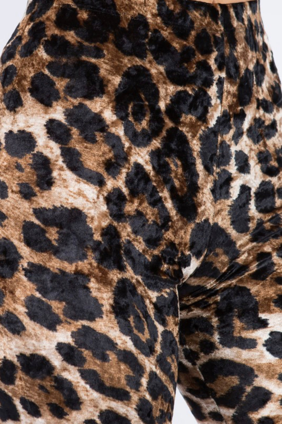 Wild Days Leopard Biker Shorts
